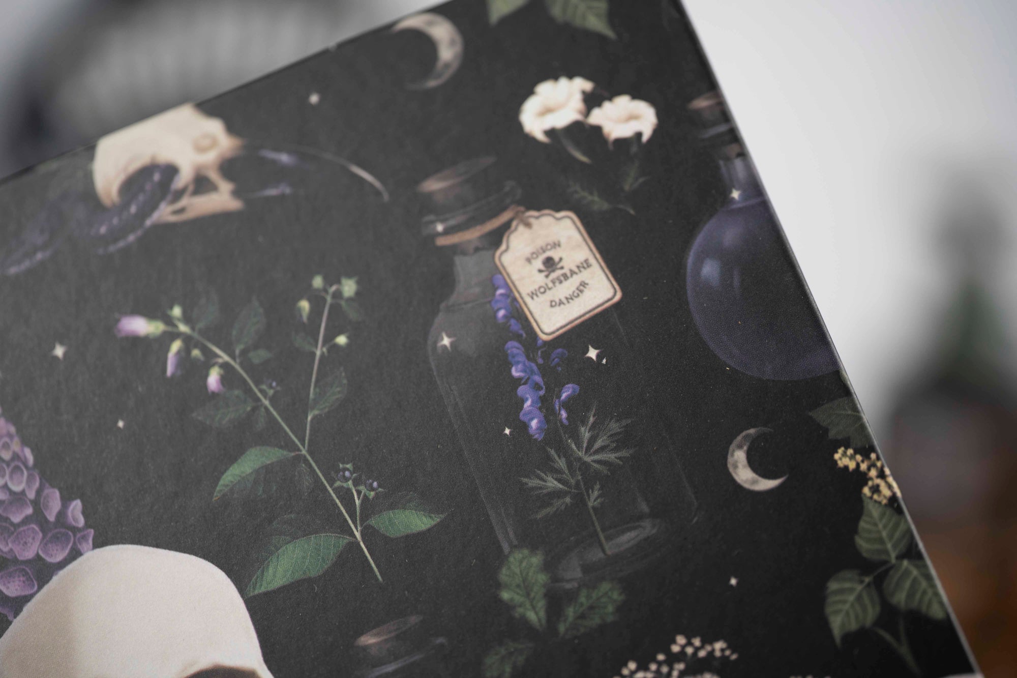 Carnet A5 “Potions”