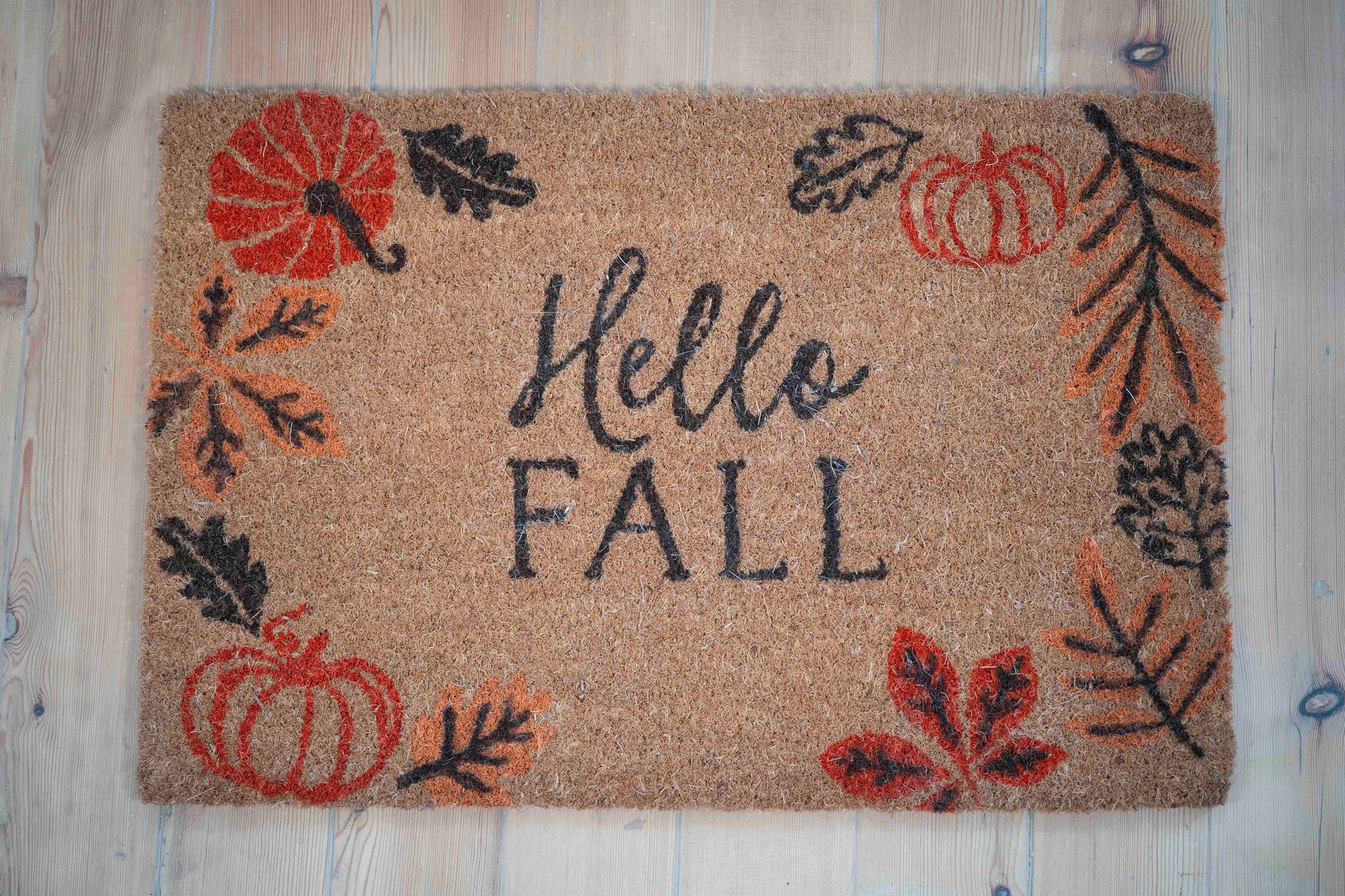 Paillaisson “Hello Fall”