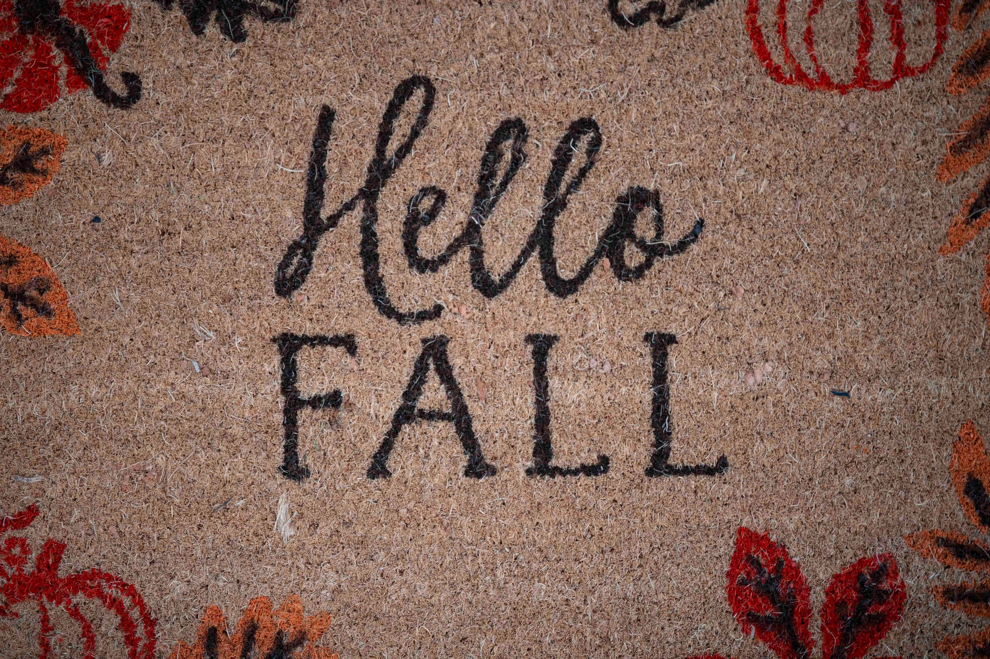 Paillaisson “Hello Fall”