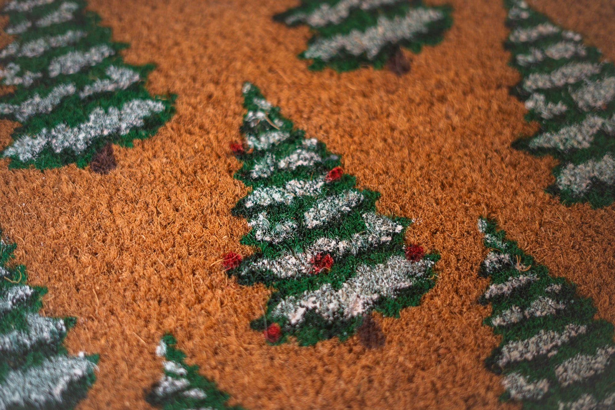 Paillasson | Mon beau Sapin