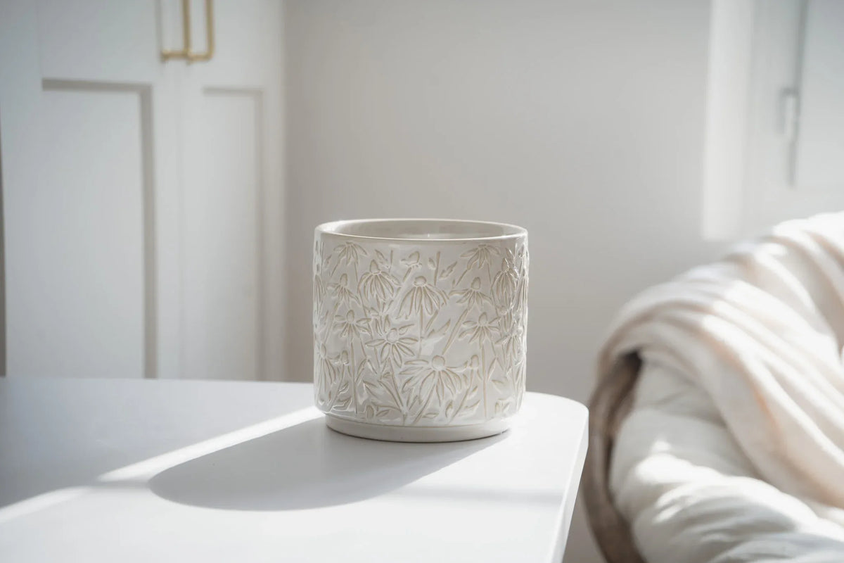 Cache pot Marguerite | Wild Leave