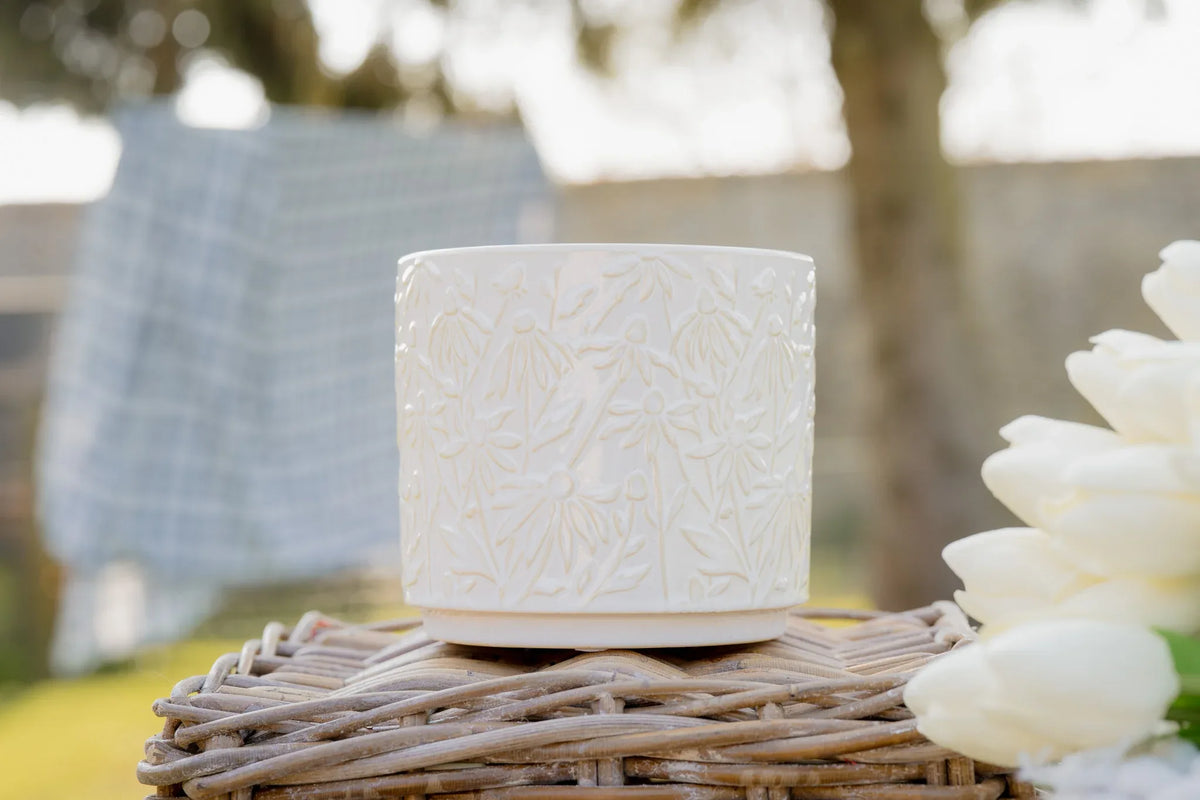 Cache pot Marguerite | Wild Leave