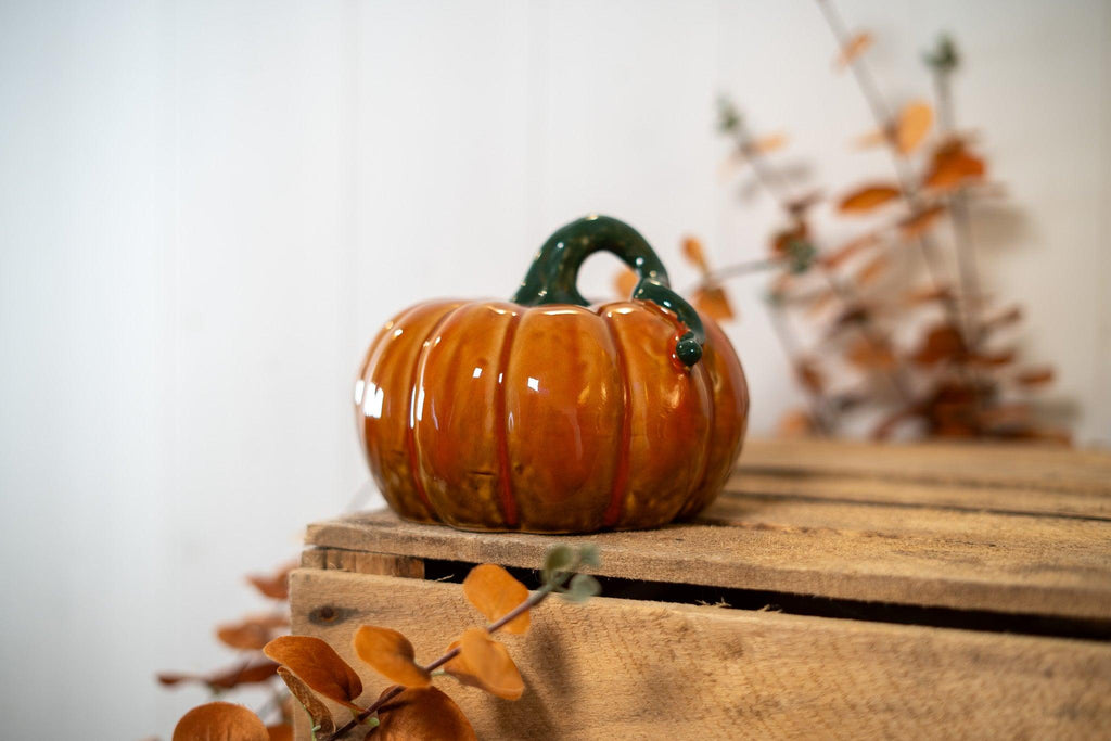 Citrouille | Fall Harvest