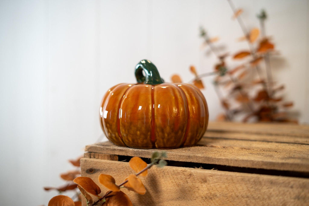 Citrouille | Fall Harvest