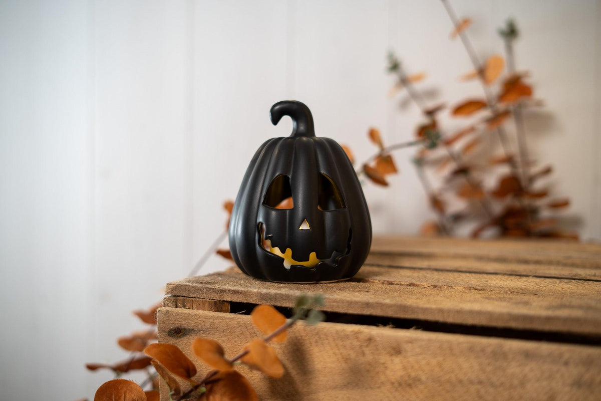 Photophore | Spooky Jack