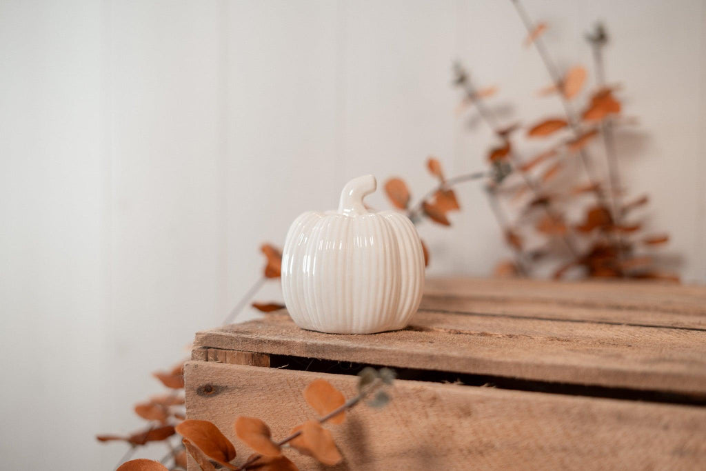 Little Pumpkin | White Fall