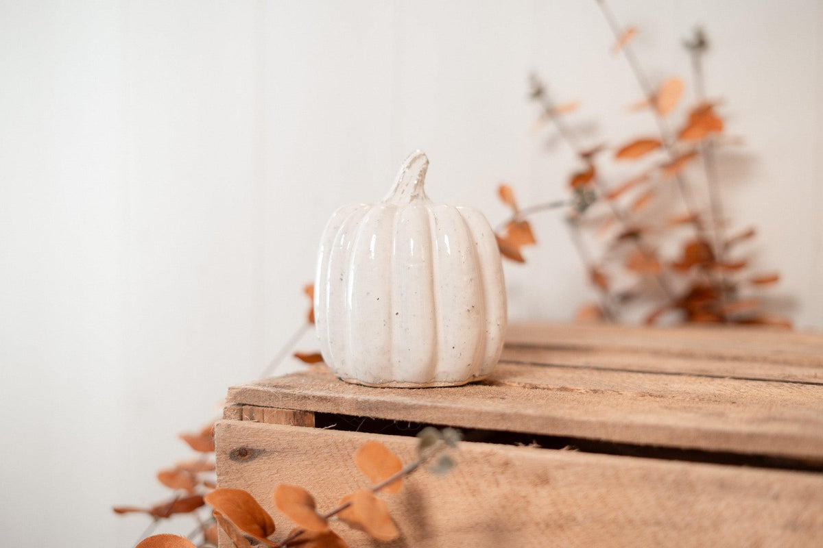 Citrouille | Little Pumpkin Spice
