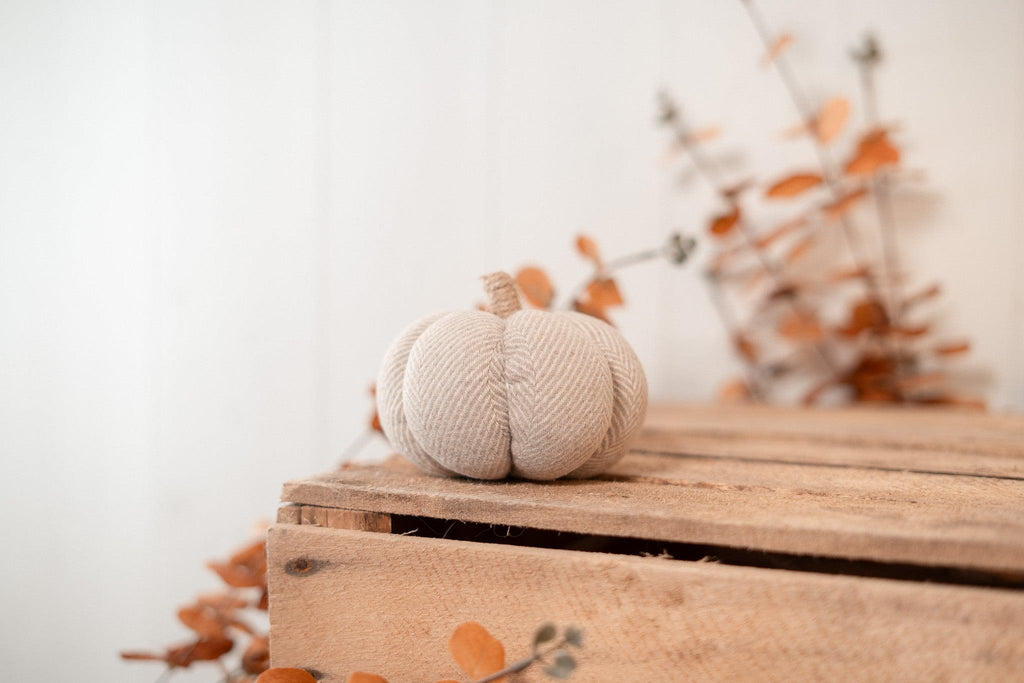 Citrouille | Sweet Pumpkin