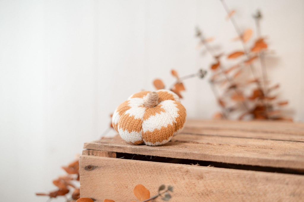 Citrouille | Cosy pumpkin