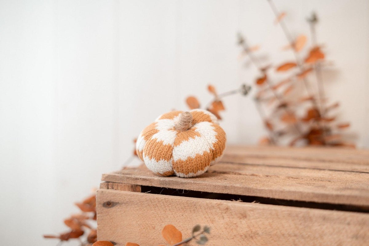 Citrouille | Cosy pumpkin