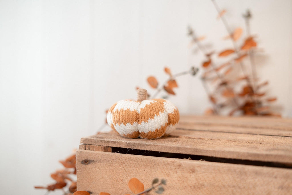 Citrouille | Cosy pumpkin