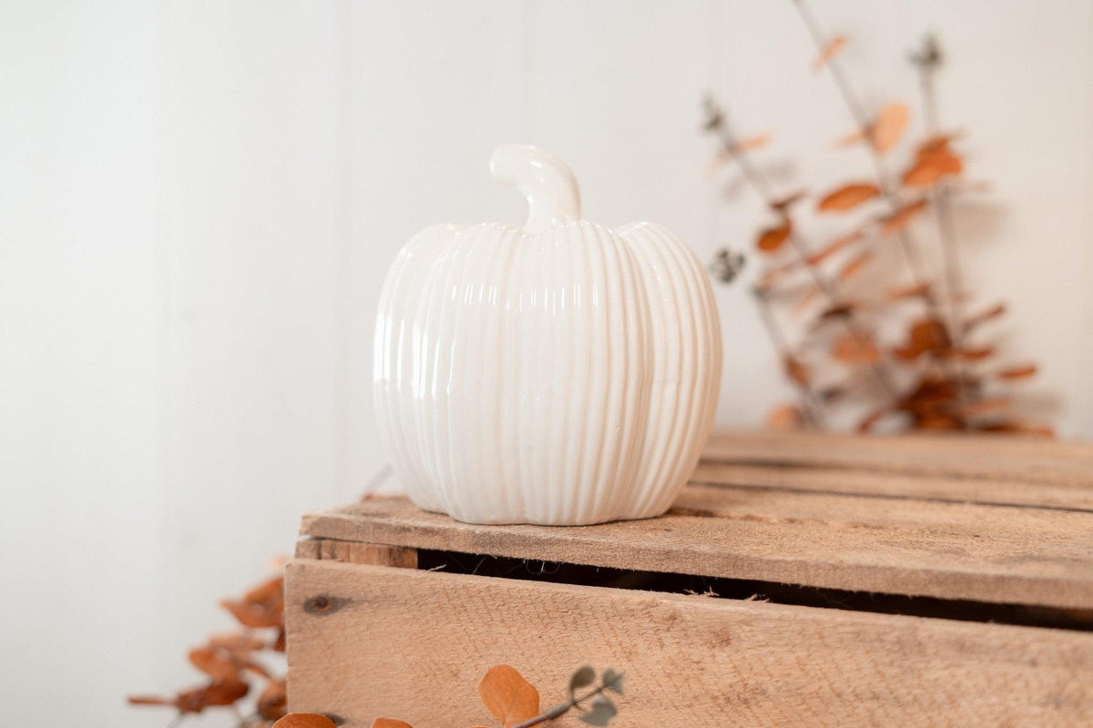 Pumpkin  | White fall