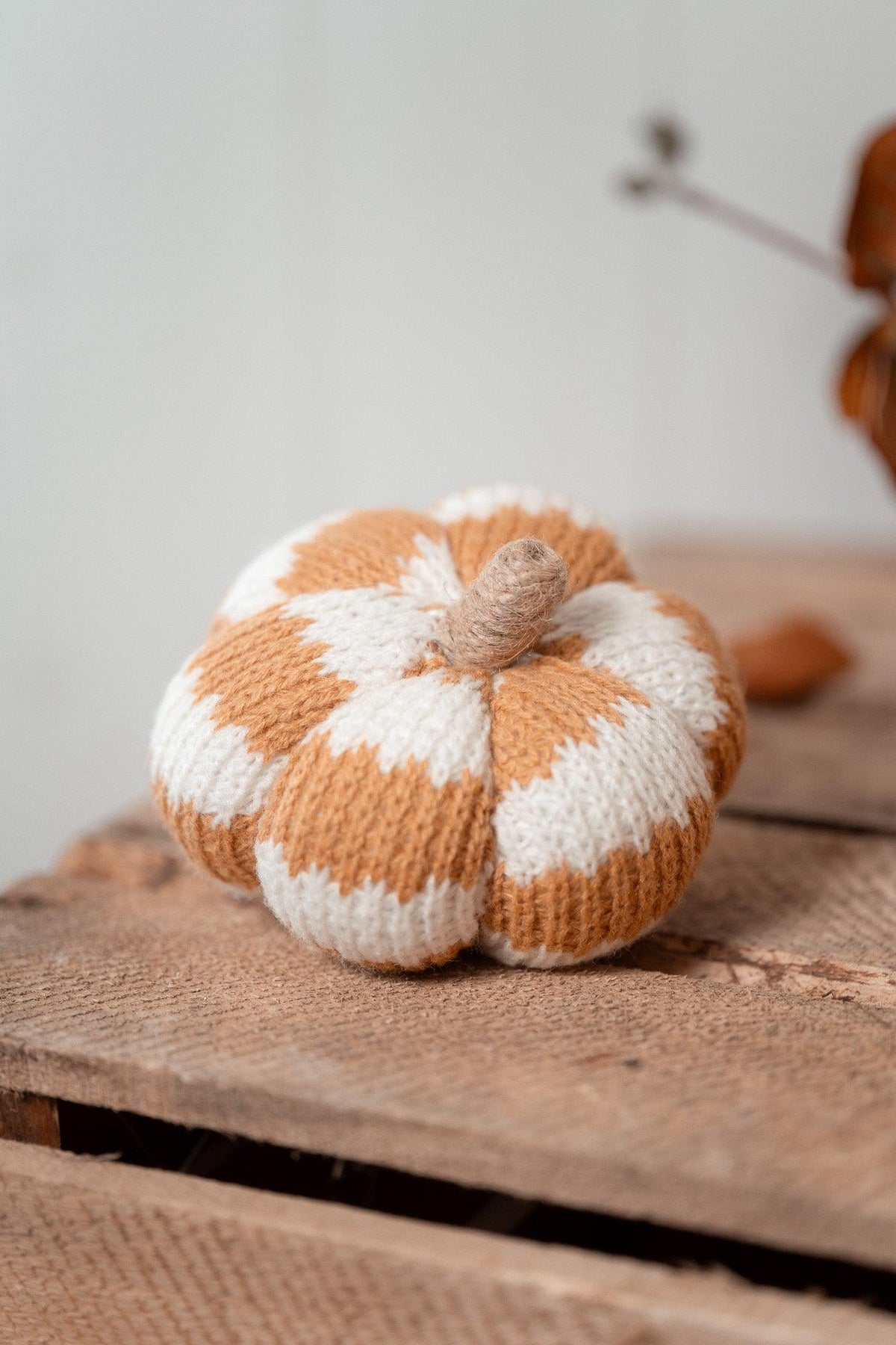 Citrouille | Cosy pumpkin