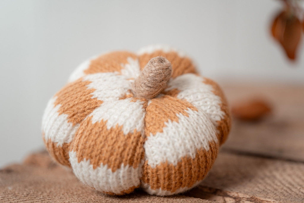 Citrouille | Cosy pumpkin