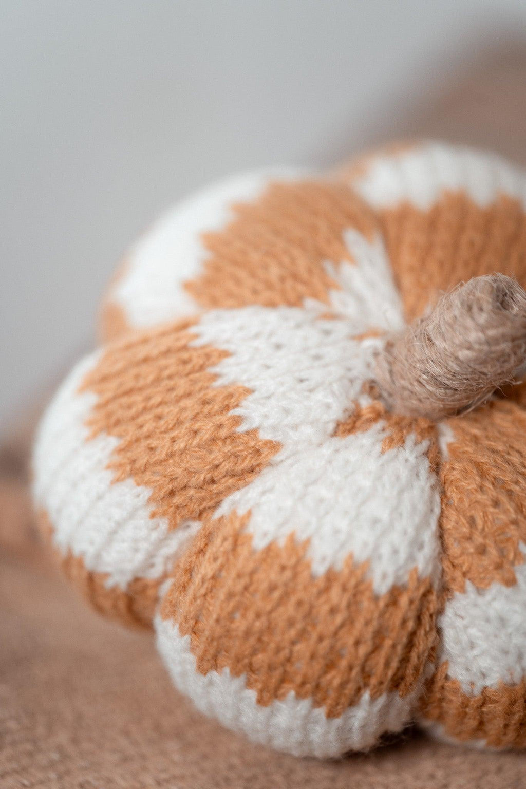 Citrouille | Cosy pumpkin