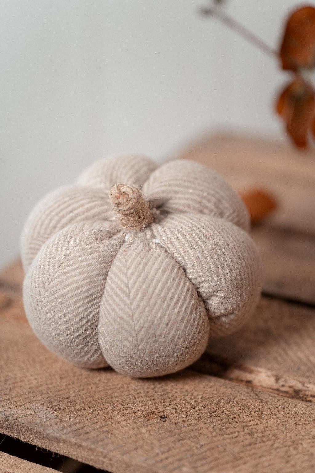 Citrouille | Sweet Pumpkin