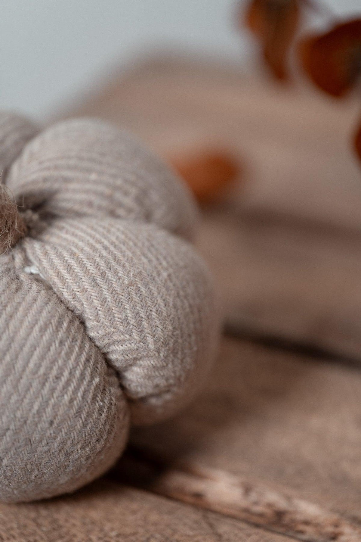 Citrouille | Sweet Pumpkin