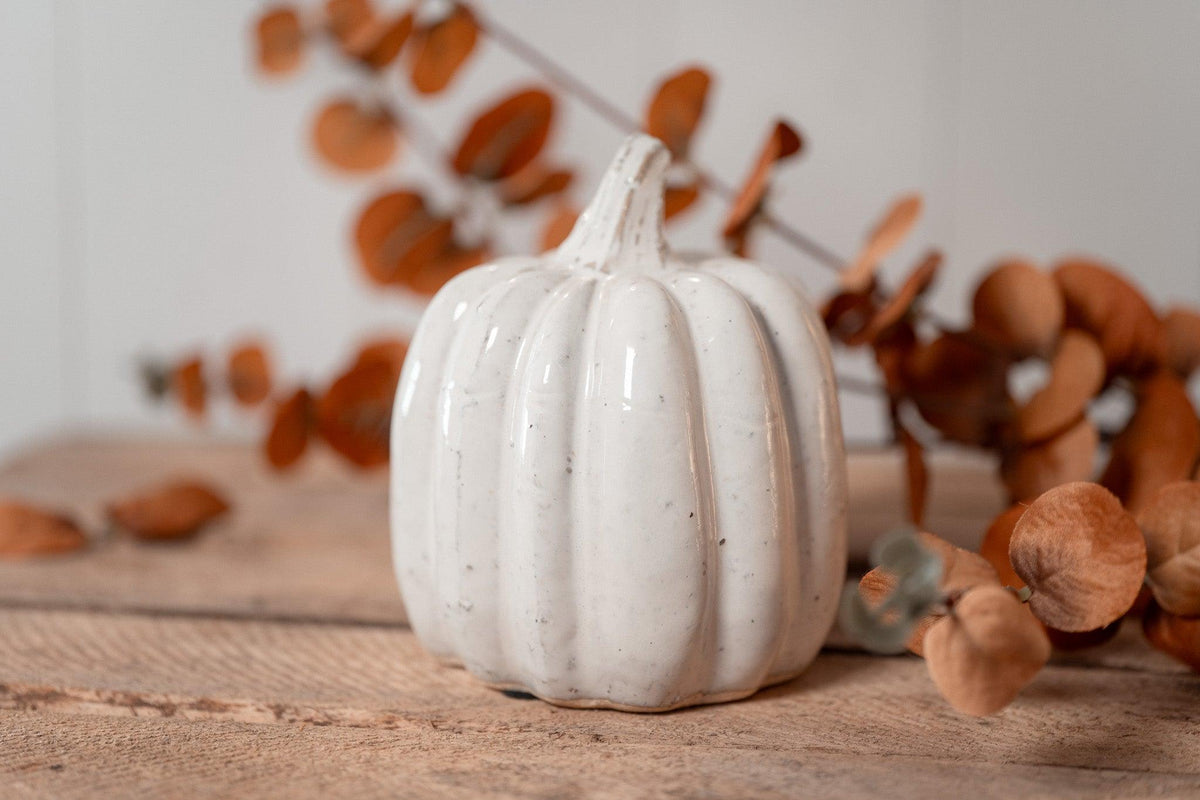 Citrouille | Little Pumpkin Spice