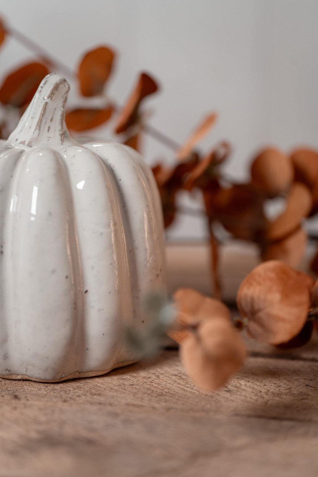 Citrouille | Little Pumpkin Spice