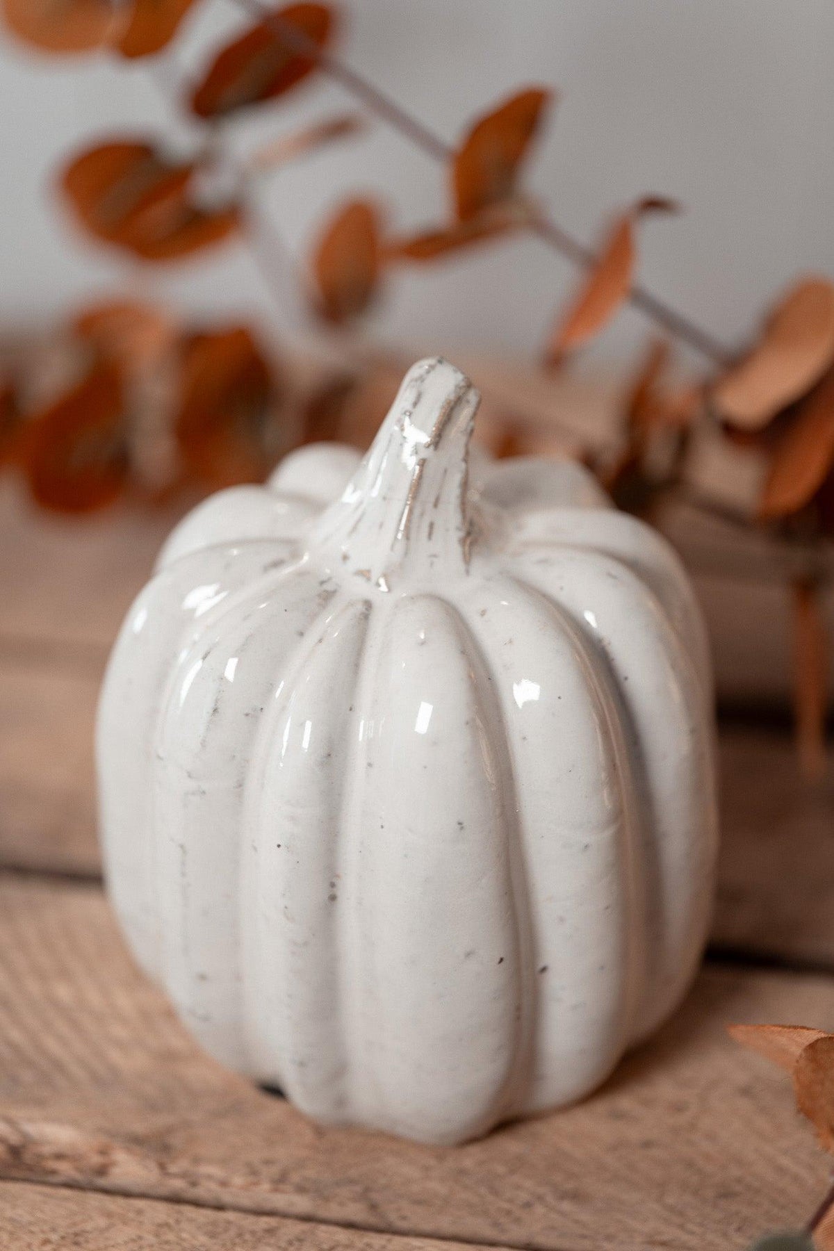 Citrouille | Little Pumpkin Spice