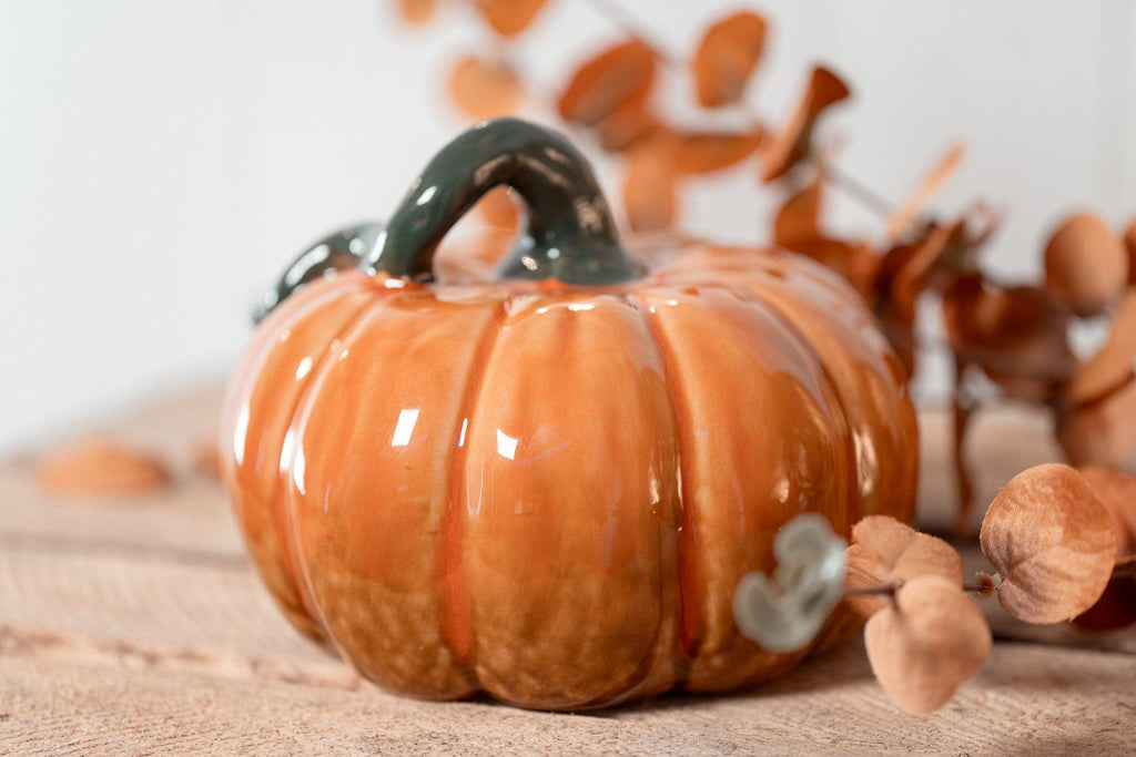 Citrouille | Fall Harvest