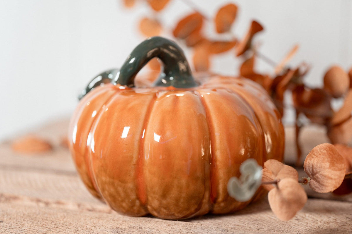 Citrouille | Fall Harvest