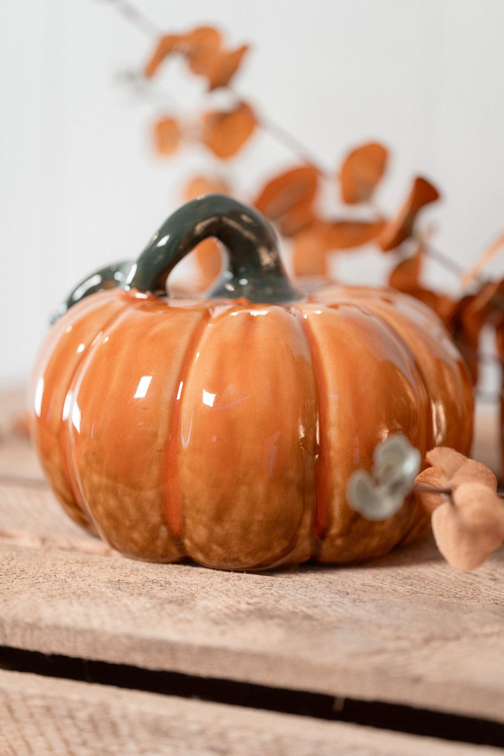 Citrouille | Fall Harvest