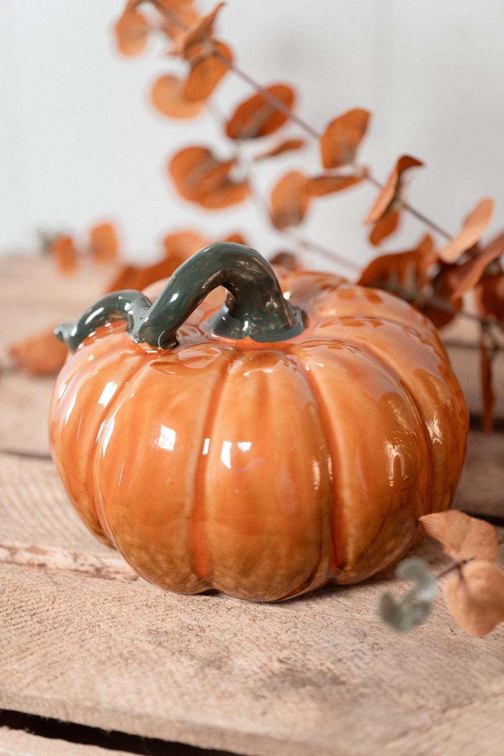 Citrouille | Fall Harvest