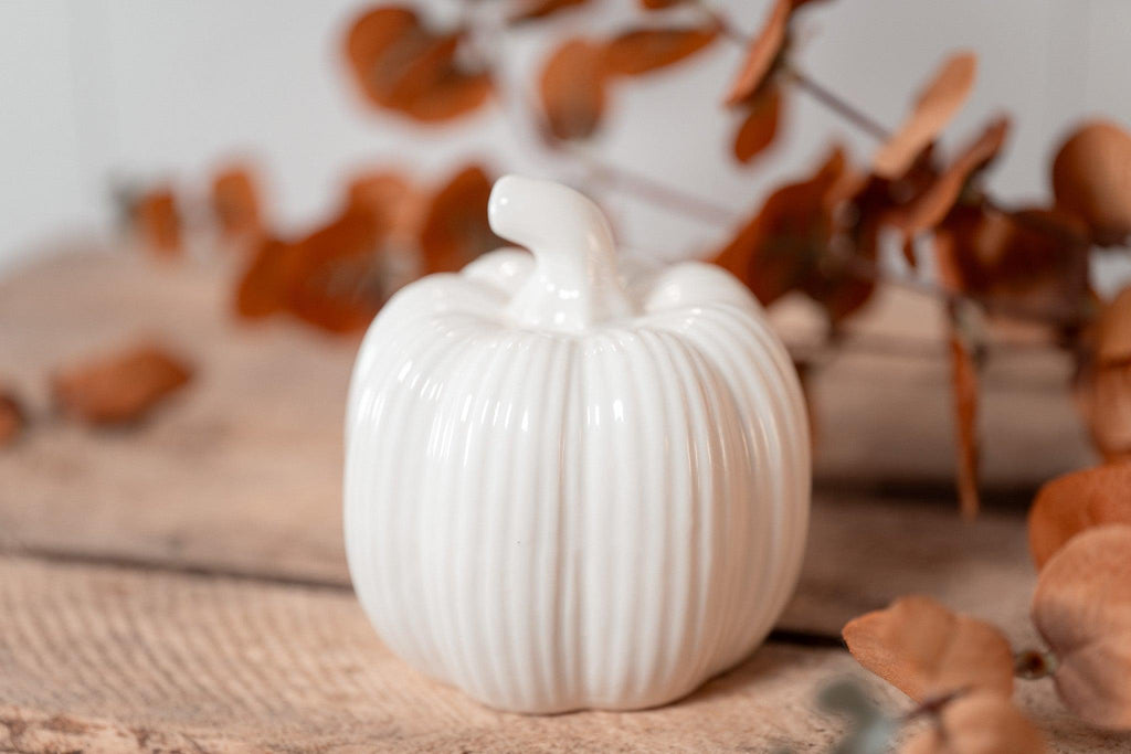 Little Pumpkin | White Fall