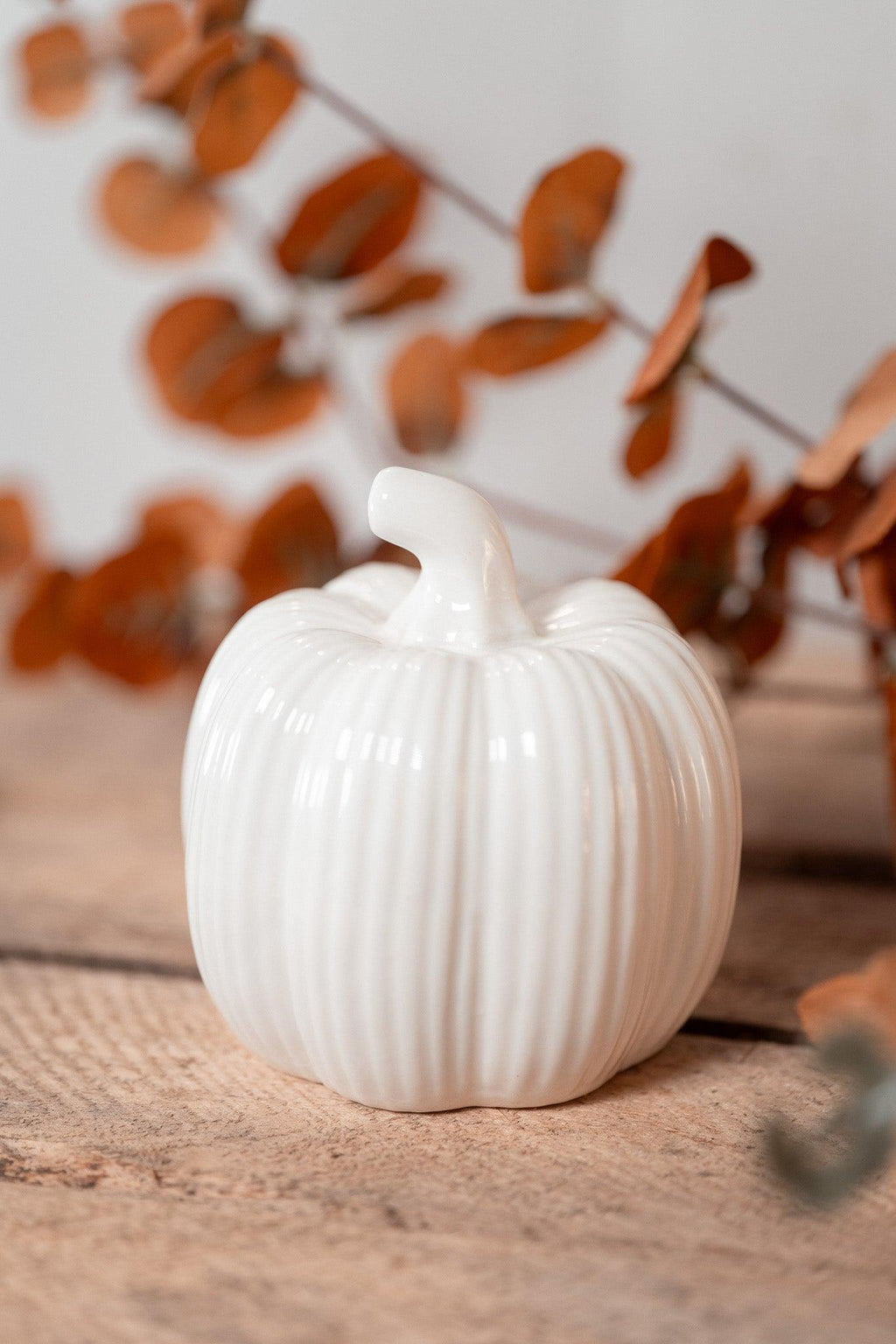 Little Pumpkin | White Fall