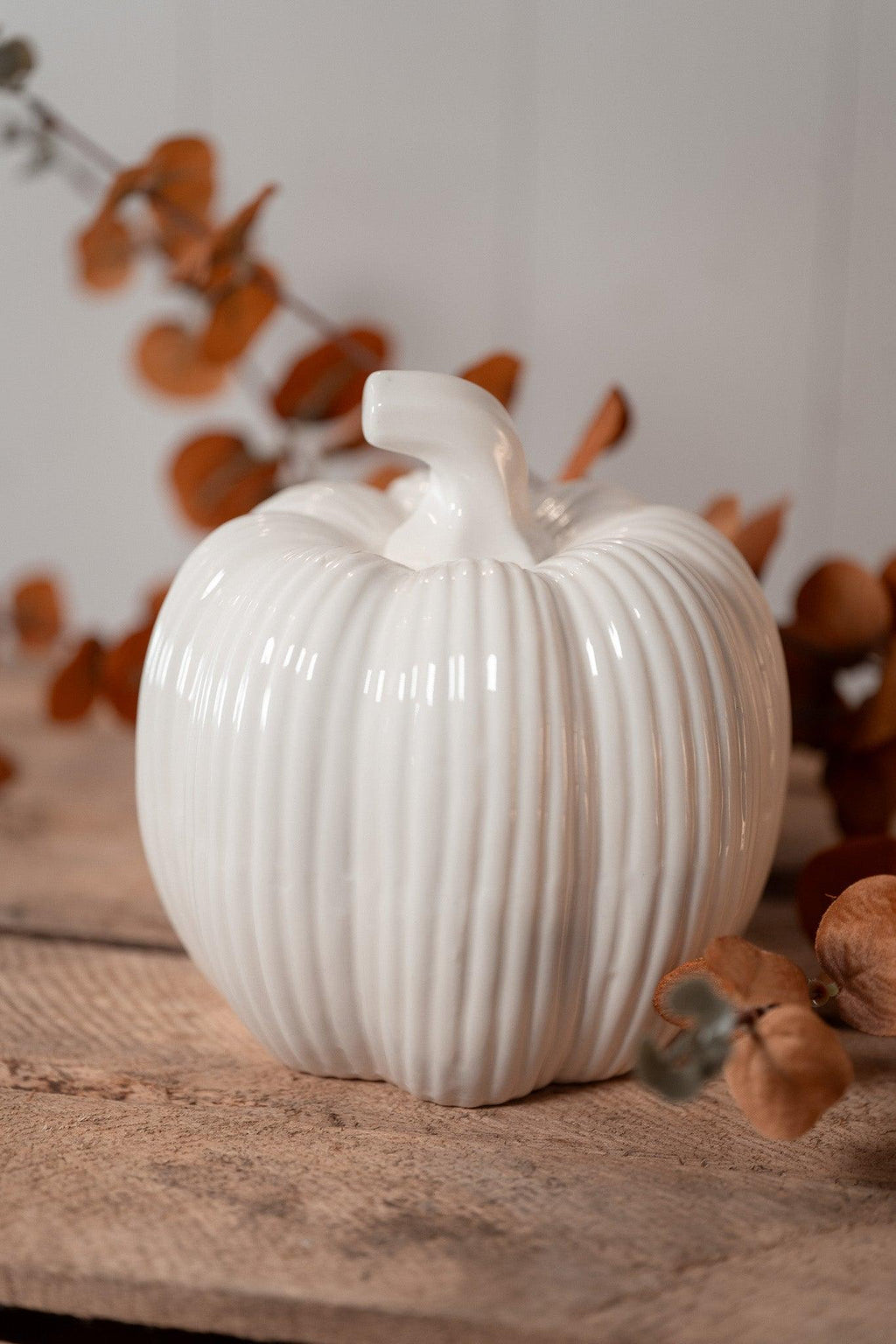 Pumpkin  | White fall
