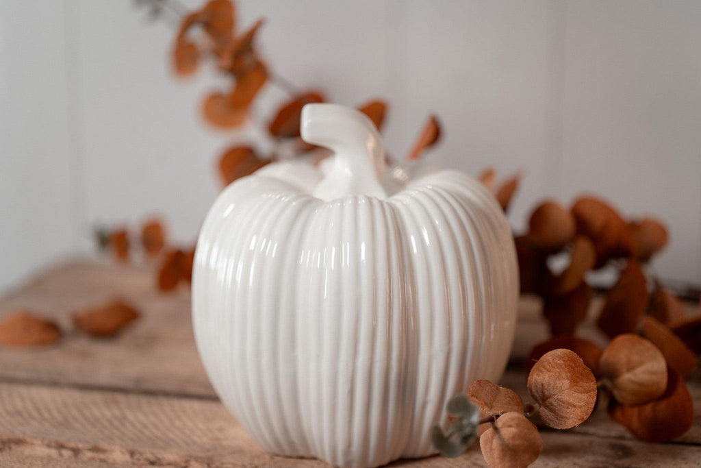 Pumpkin  | White fall