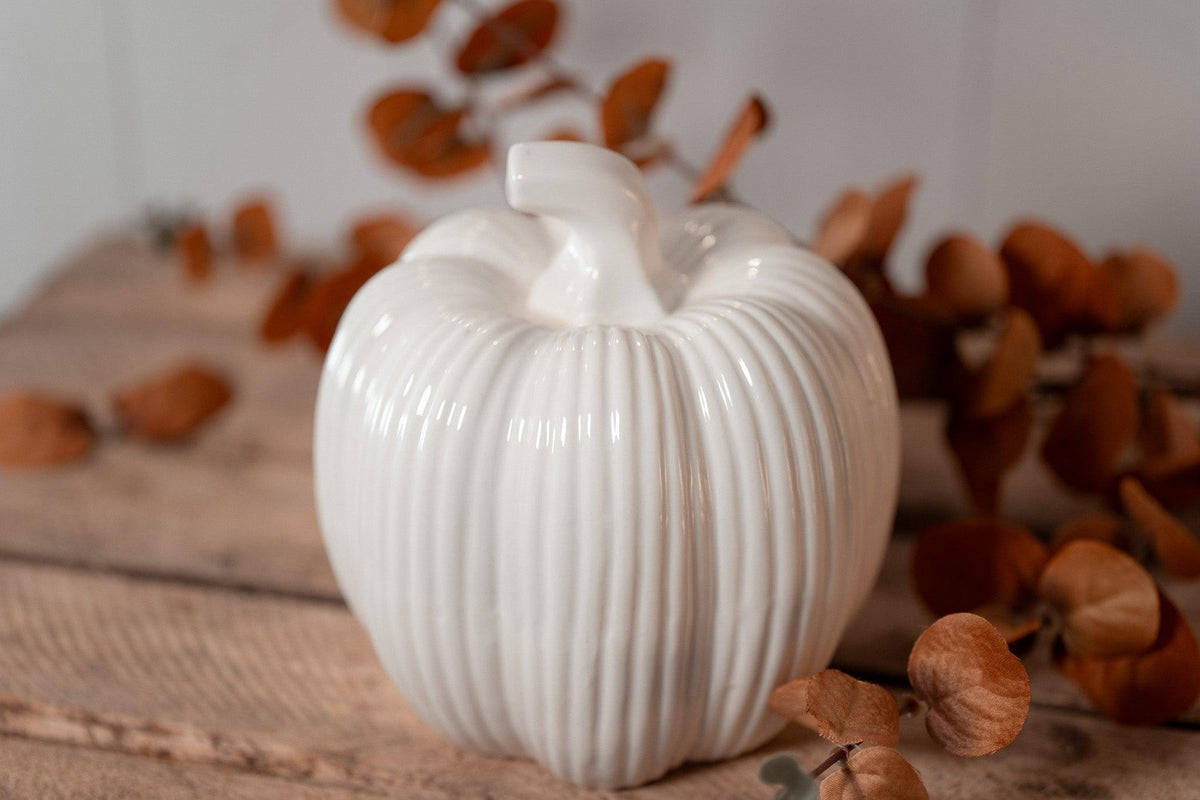 Pumpkin  | White fall
