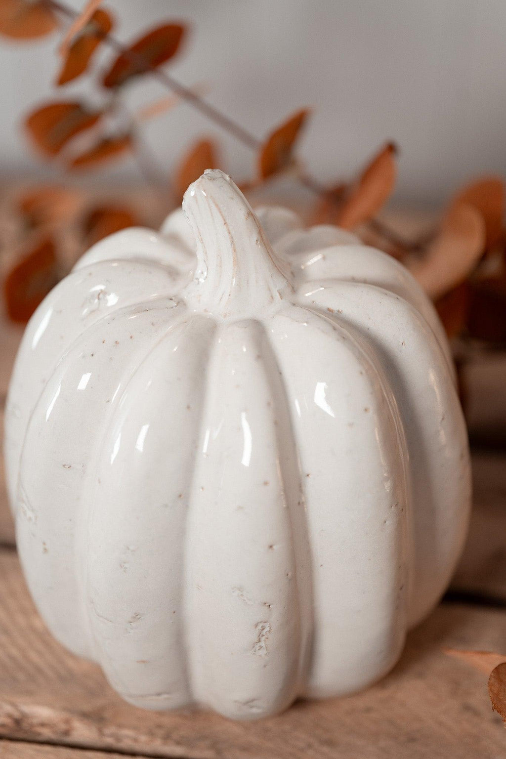 Citrouille | Pumpkin Spice